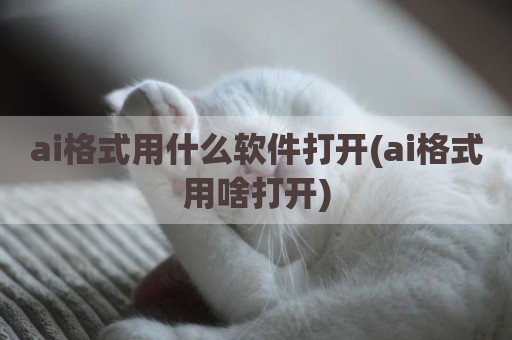 ai格式用什么软件打开(ai格式用啥打开)
