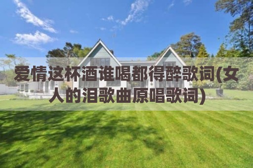 爱情这杯酒谁喝都得醉歌词(女人的泪歌曲原唱歌词)
