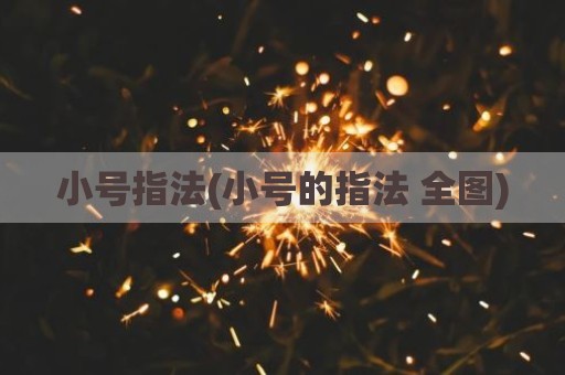 小号指法(小号的指法 全图)