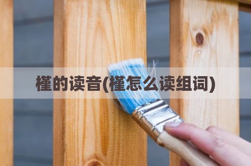 槿的读音(槿怎么读组词)