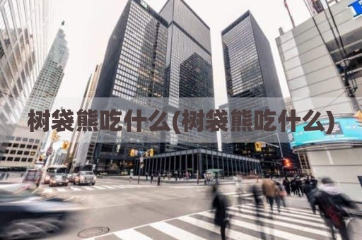 树袋熊吃什么(树袋熊吃什么)