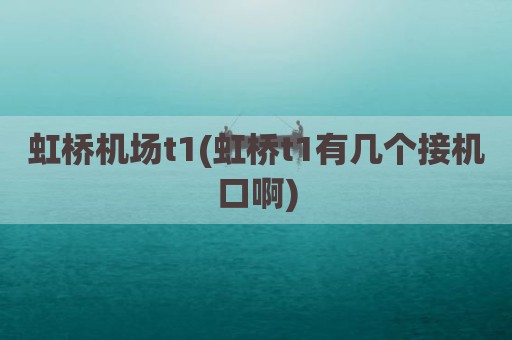 虹桥机场t1(虹桥t1有几个接机口啊)
