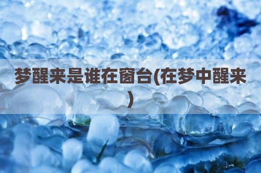 梦醒来是谁在窗台(在梦中醒来)