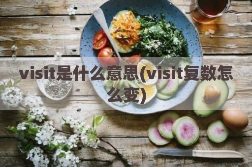visit是什么意思(visit复数怎么变)