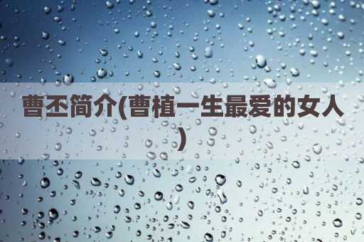 曹丕简介(曹植一生最爱的女人)
