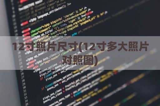 12寸照片尺寸(12寸多大照片对照图)