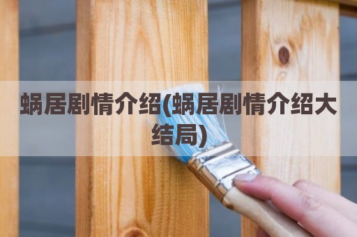 蜗居剧情介绍(蜗居剧情介绍大结局)