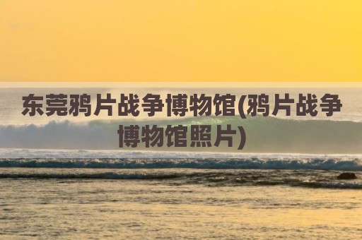 东莞鸦片战争博物馆(鸦片战争博物馆照片)