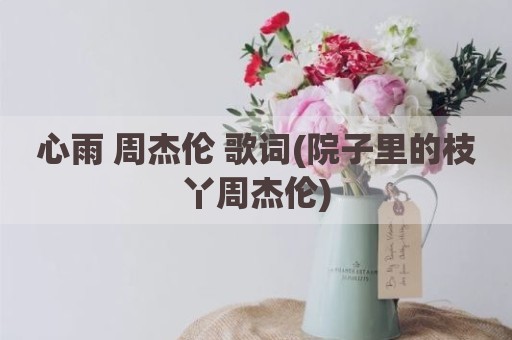 心雨 周杰伦 歌词(院子里的枝丫周杰伦)