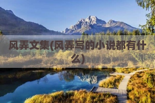 风弄文集(风弄写的小说都有什么)