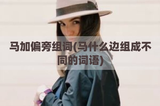马加偏旁组词(马什么边组成不同的词语)