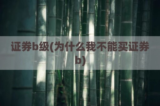 证券b级(为什么我不能买证券b)