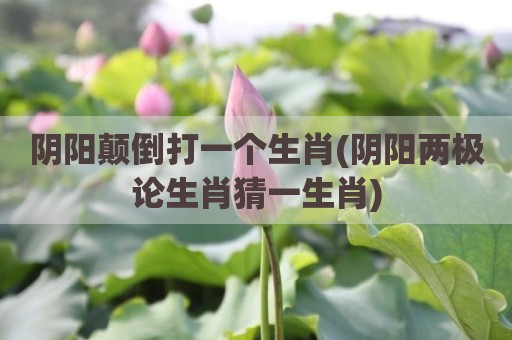 阴阳颠倒打一个生肖(阴阳两极论生肖猜一生肖)