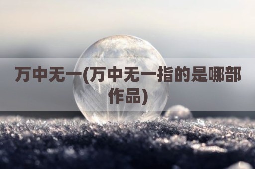万中无一(万中无一指的是哪部作品)