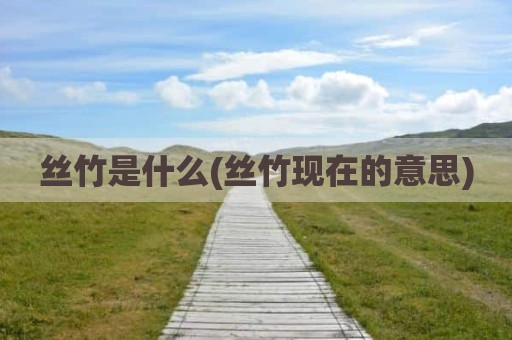 丝竹是什么(丝竹现在的意思)