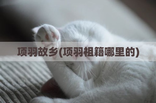 项羽故乡(项羽祖籍哪里的)