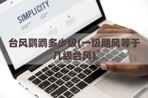 台风鹦鹉多少级(一级飓风等于几级台风)