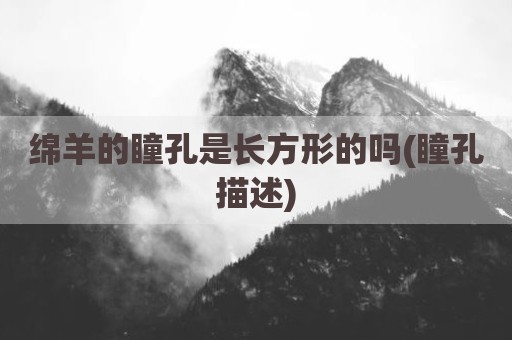绵羊的瞳孔是长方形的吗(瞳孔描述)