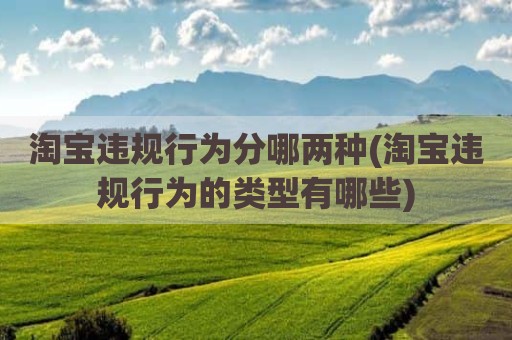 淘宝违规行为分哪两种(淘宝违规行为的类型有哪些)