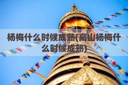 杨梅什么时候成熟(高山杨梅什么时候成熟)