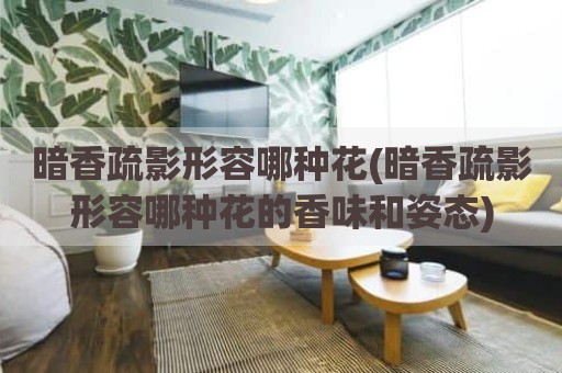 暗香疏影形容哪种花(暗香疏影形容哪种花的香味和姿态)