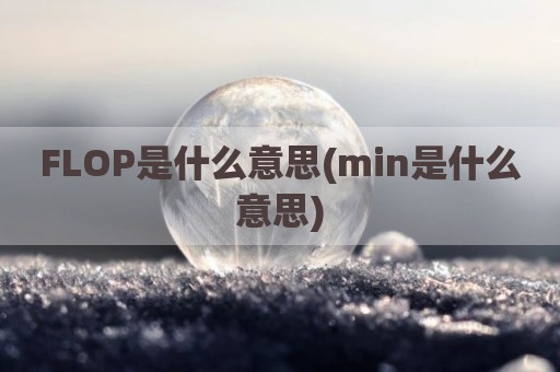 FLOP是什么意思(min是什么意思)