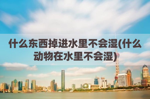 什么东西掉进水里不会湿(什么动物在水里不会湿)