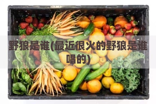 野狼是谁(最近很火的野狼是谁唱的)