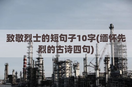 致敬烈士的短句子10字(缅怀先烈的古诗四句)