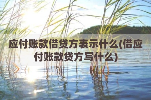 应付账款借贷方表示什么(借应付账款贷方写什么)