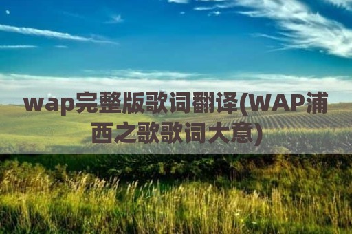 wap完整版歌词翻译(WAP浦西之歌歌词大意)
