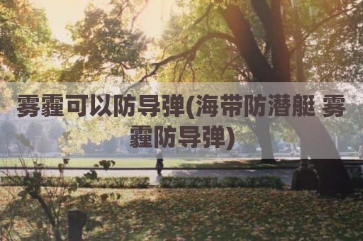 雾霾可以防导弹(海带防潜艇 雾霾防导弹)