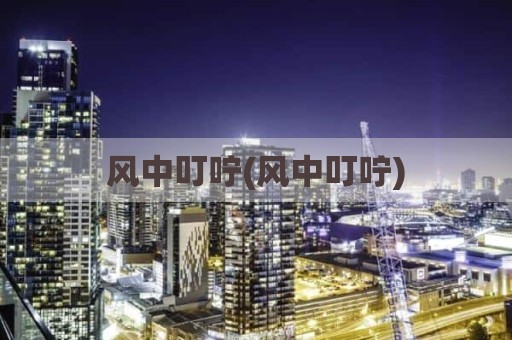 风中叮咛(风中叮咛)