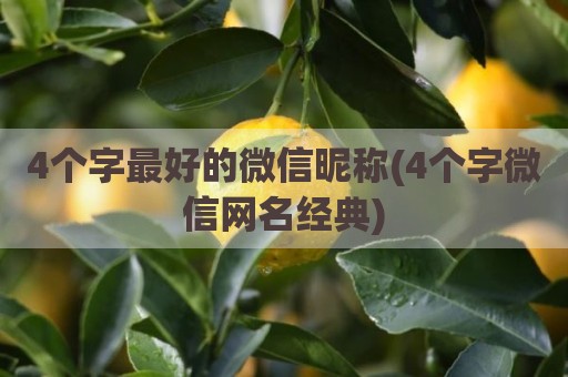 4个字最好的微信昵称(4个字微信网名经典)