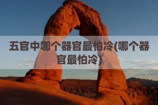 五官中哪个器官最怕冷(哪个器官最怕冷)