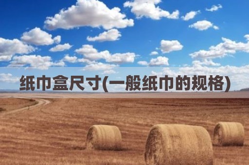 纸巾盒尺寸(一般纸巾的规格)
