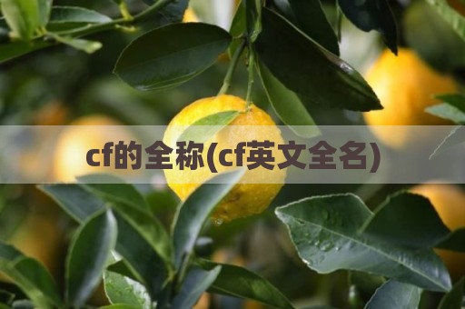 cf的全称(cf英文全名)