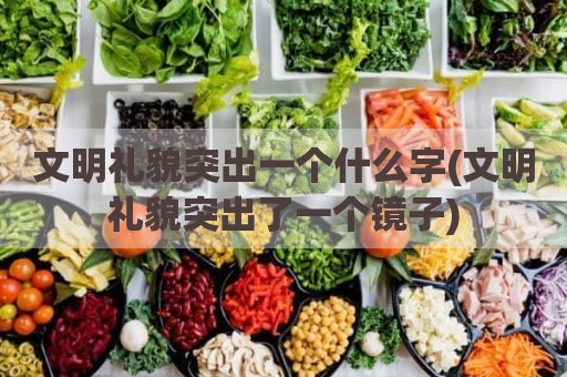 文明礼貌突出一个什么字(文明礼貌突出了一个镜子)