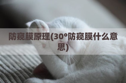 防窥膜原理(30°防窥膜什么意思)
