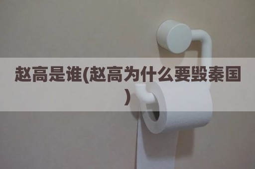 赵高是谁(赵高为什么要毁秦国)