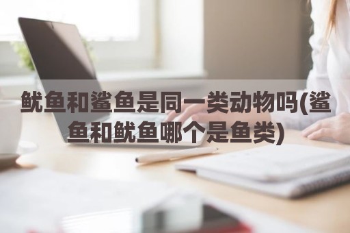 鱿鱼和鲨鱼是同一类动物吗(鲨鱼和鱿鱼哪个是鱼类)