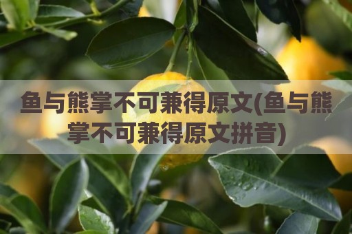 鱼与熊掌不可兼得原文(鱼与熊掌不可兼得原文拼音)