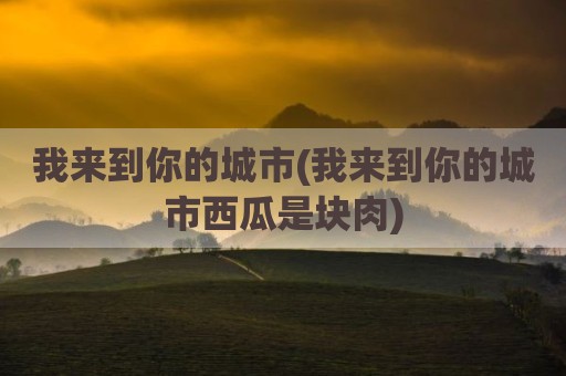 我来到你的城市(我来到你的城市西瓜是块肉)