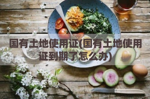 国有土地使用证(国有土地使用证到期了怎么办)