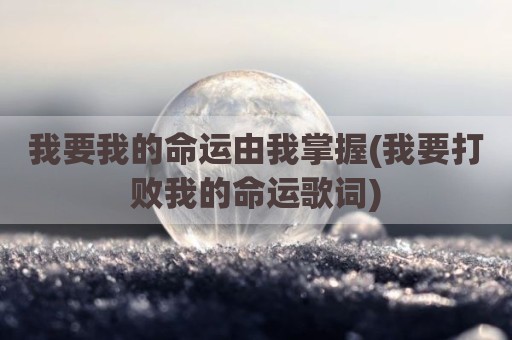 我要我的命运由我掌握(我要打败我的命运歌词)