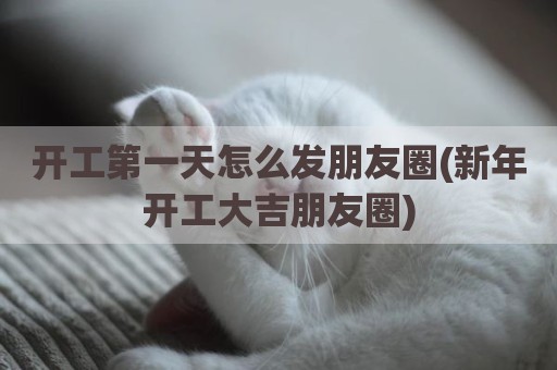 开工第一天怎么发朋友圈(新年开工大吉朋友圈)