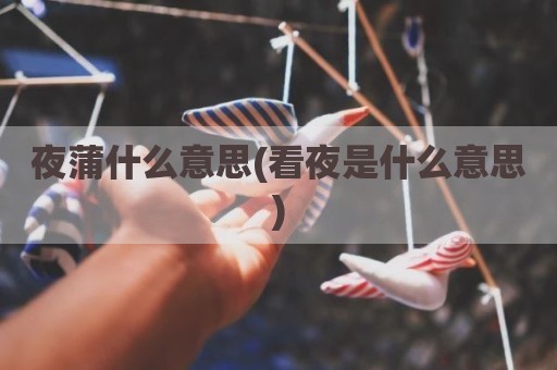 夜蒲什么意思(看夜是什么意思)