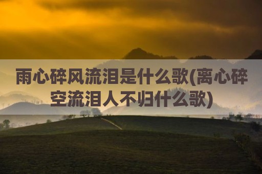 雨心碎风流泪是什么歌(离心碎空流泪人不归什么歌)