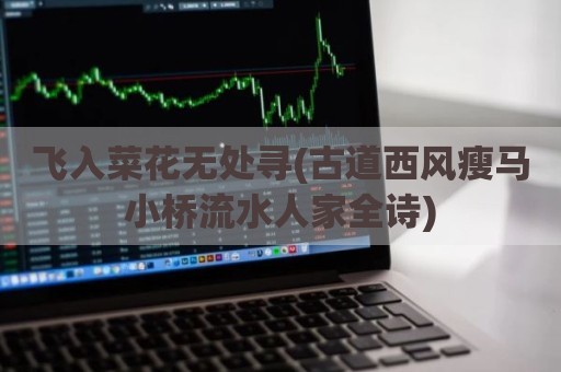飞入菜花无处寻(古道西风瘦马小桥流水人家全诗)