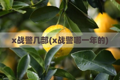 x战警几部(x战警哪一年的)